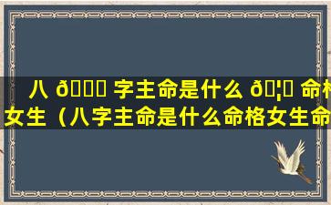 八 🐕 字主命是什么 🦁 命格女生（八字主命是什么命格女生命运）